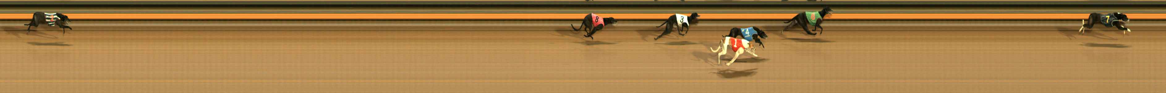 Photo finish for Ballarat Race 14