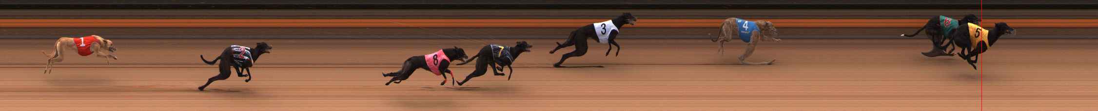 Race result finish photo