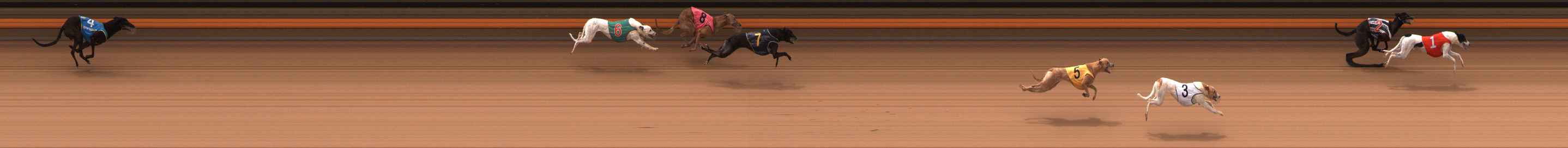 Photo finish for Ballarat Race 2