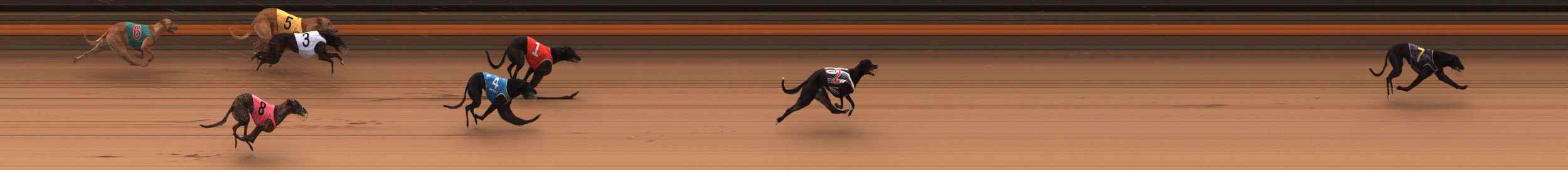 Photo finish for Ballarat Race 3