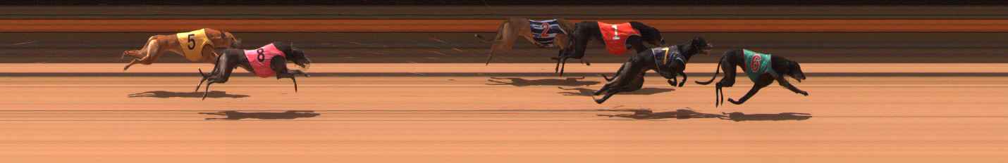 Photo finish for Ballarat Race 5