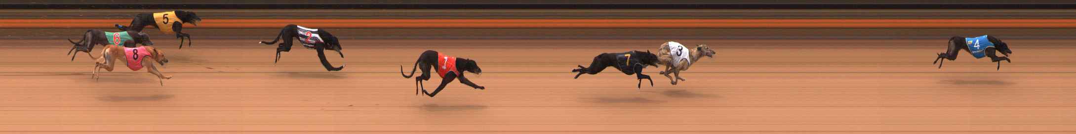 Photo finish for Ballarat Race 6