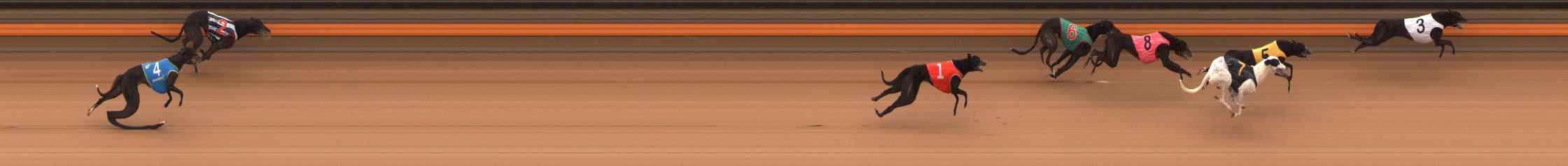 Photo finish for Ballarat Race 9
