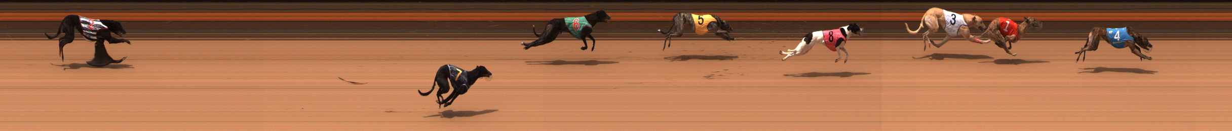 Photo finish for Ballarat Race 10