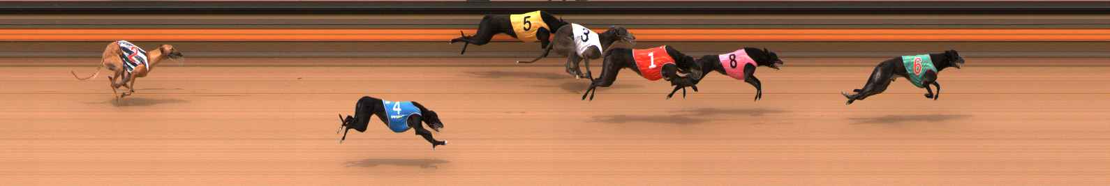 Photo finish for Ballarat Race 11