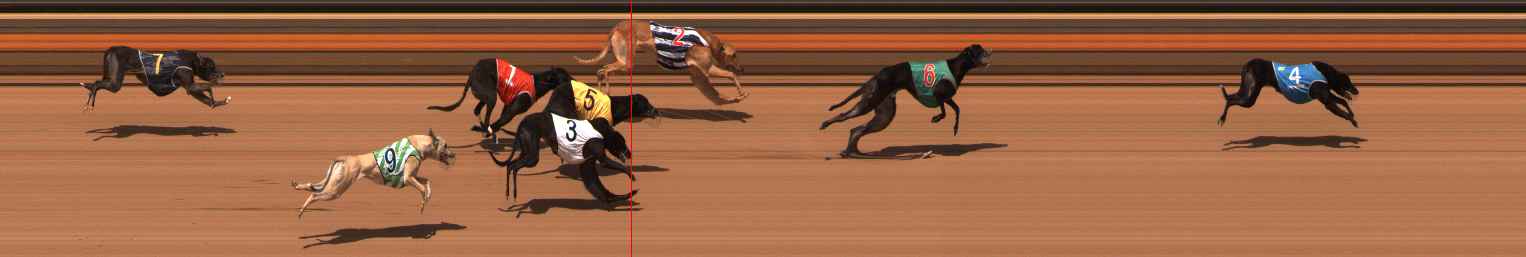 Photo finish for Ballarat Race 13