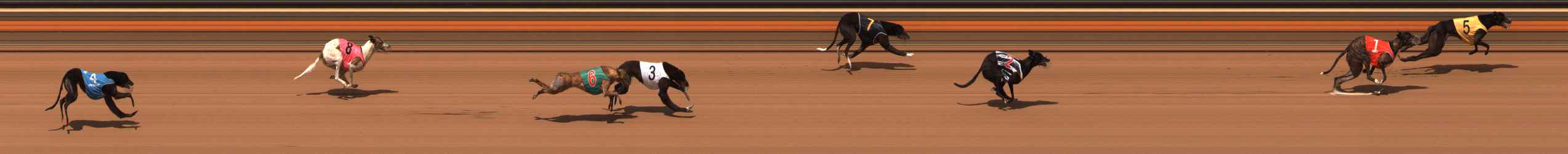 Photo finish for Ballarat Race 14