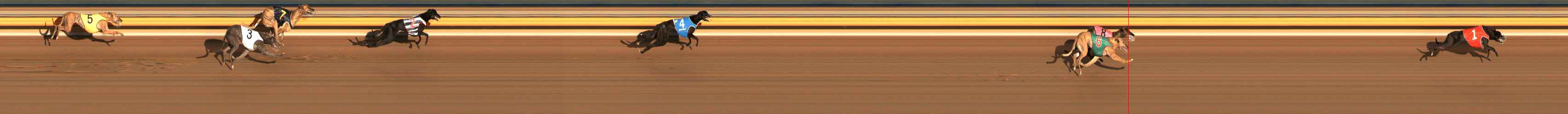 Race result finish photo