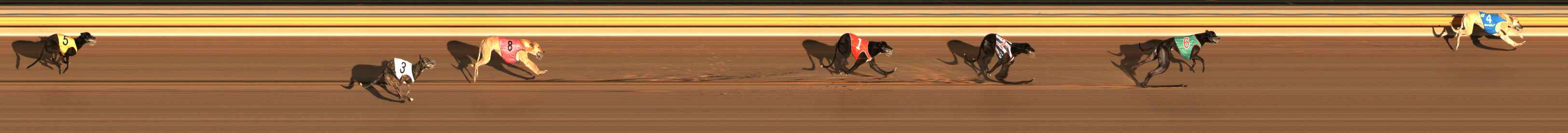 Photo finish for Ballarat Race 2