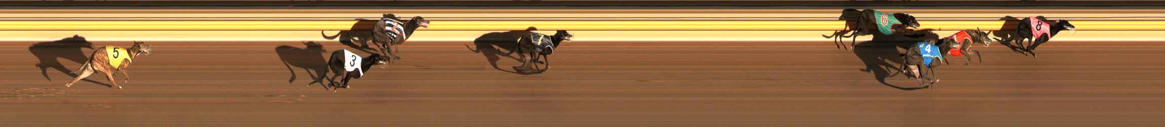Photo finish for Ballarat Race 3