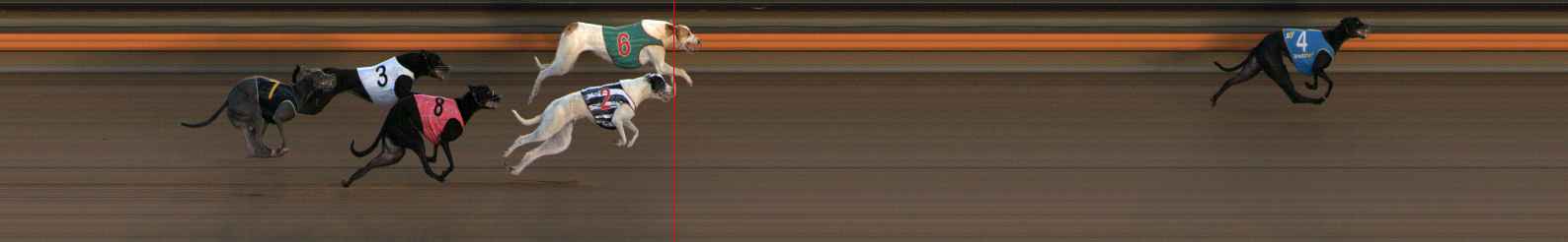 Photo finish for Ballarat Race 5
