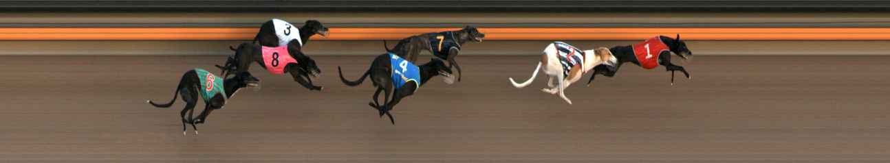 Photo finish for Ballarat Race 6