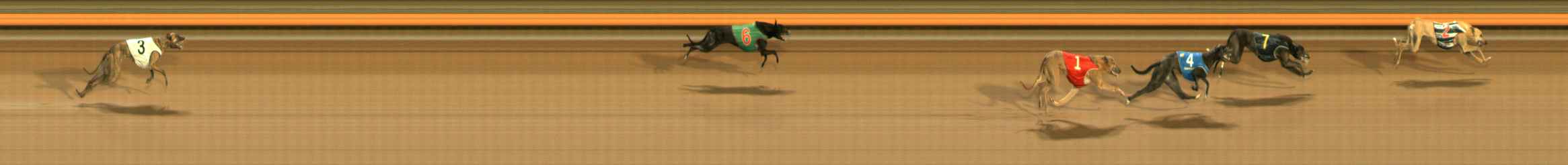 Photo finish for Ballarat Race 10