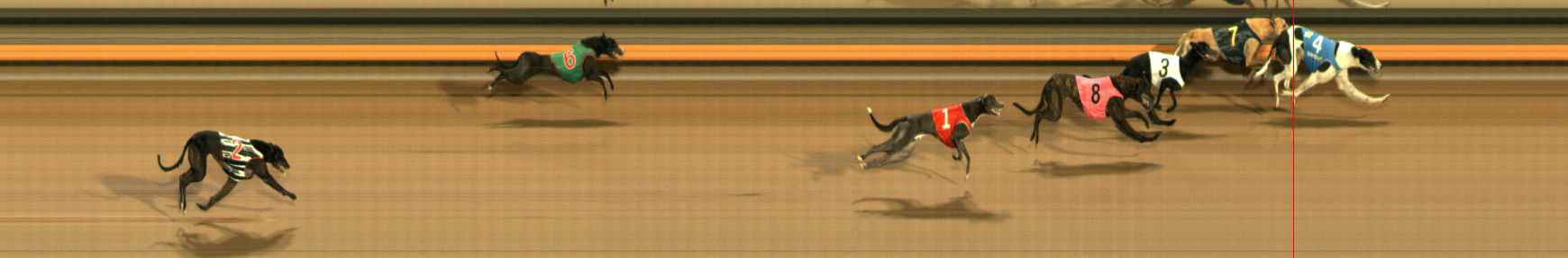 Photo finish for Ballarat Race 12