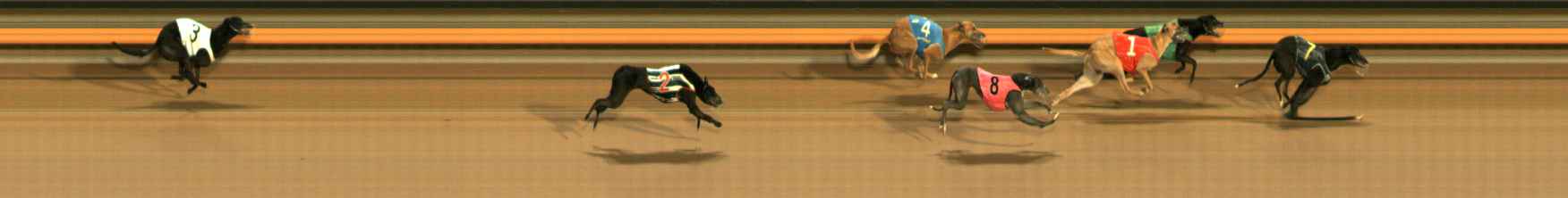 Photo finish for Ballarat Race 13
