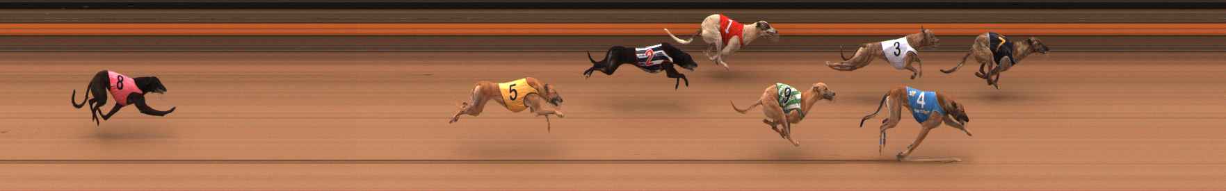 Photo finish for Ballarat Race 2