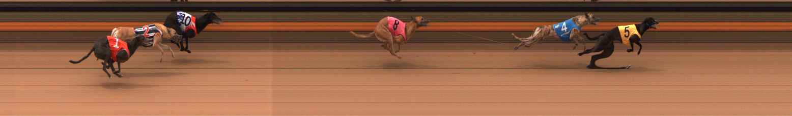 Photo finish for Ballarat Race 3