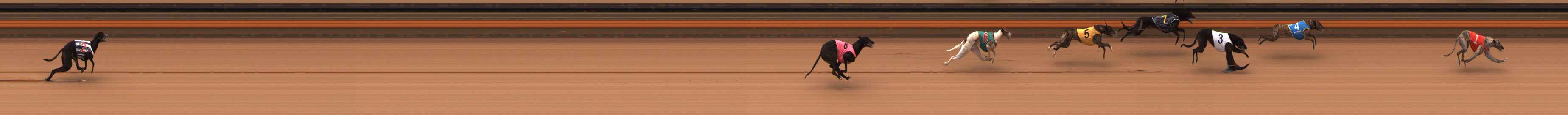 Photo finish for Ballarat Race 5