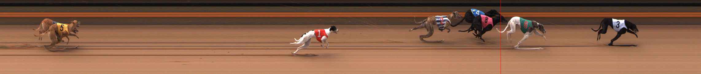 Photo finish for Ballarat Race 6