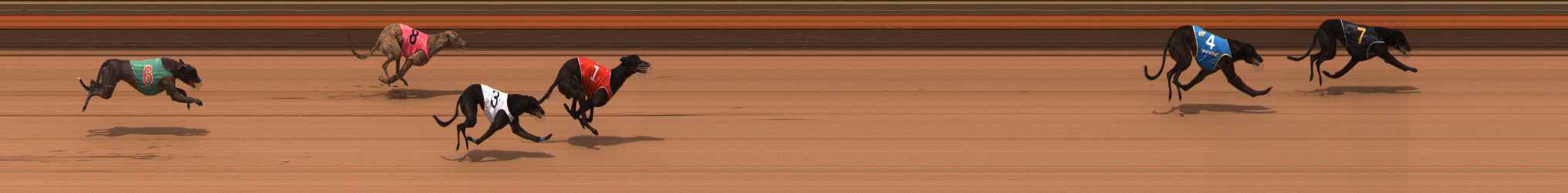 Photo finish for Ballarat Race 8