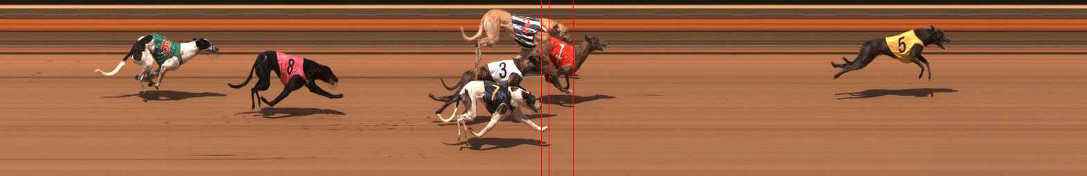 Photo finish for Ballarat Race 10