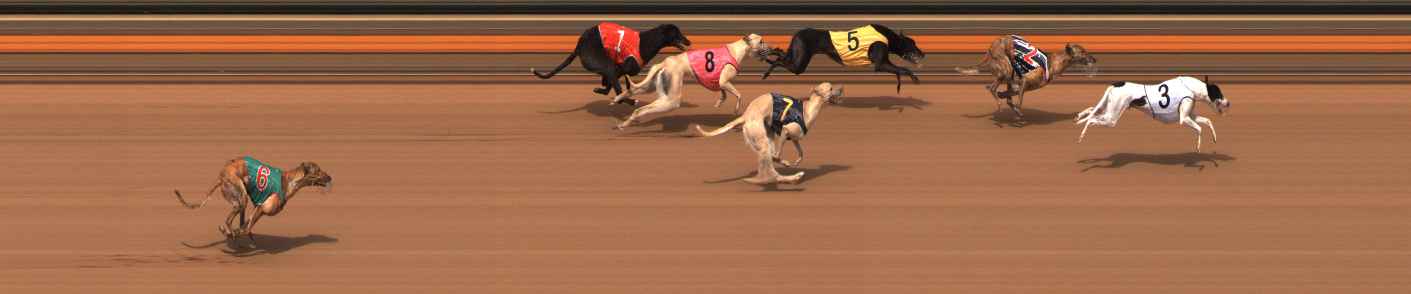 Photo finish for Ballarat Race 12