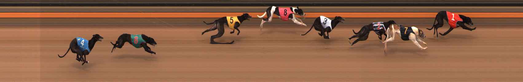 Photo finish for Ballarat Race 13