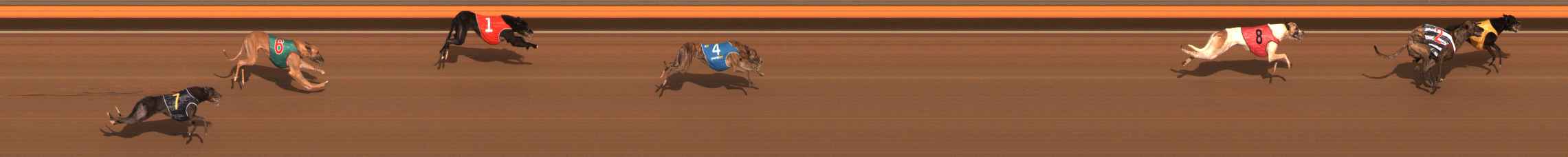 Photo finish for Ballarat Race 1