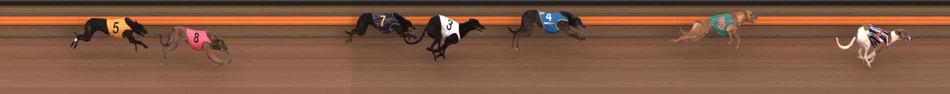Photo finish for Ballarat Race 3