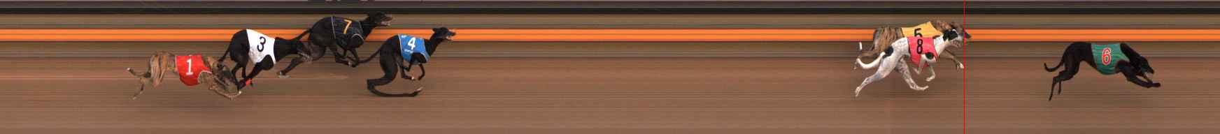 Photo finish for Ballarat Race 5