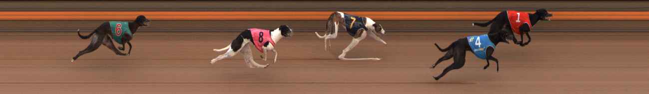 Photo finish for Ballarat Race 7