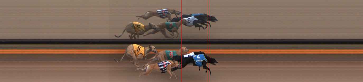 Photo finish for Ballarat Race 8