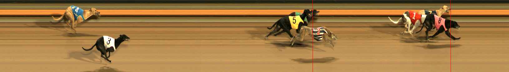 Photo finish for Ballarat Race 11