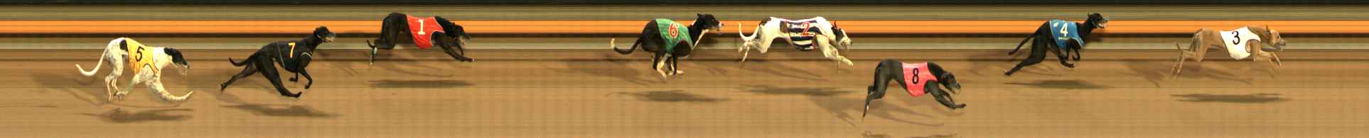 Photo finish for Ballarat Race 12