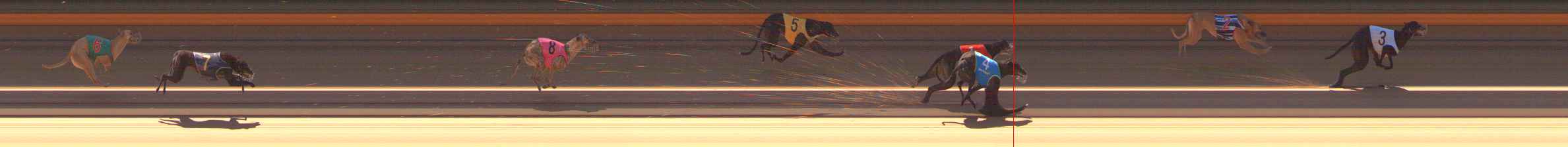 Photo finish for Ballarat Race 1