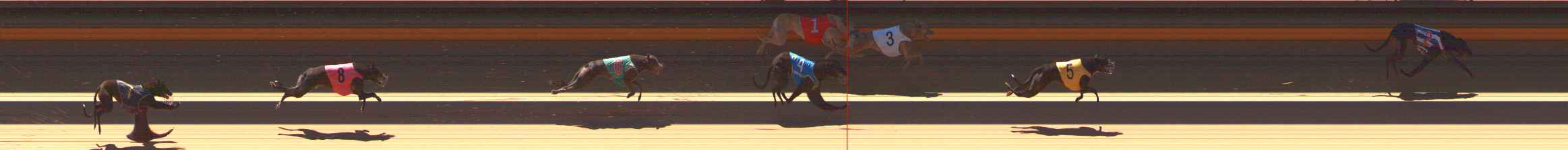 Photo finish for Ballarat Race 2