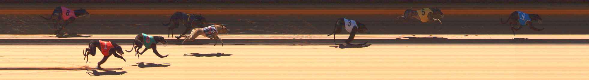 Photo finish for Ballarat Race 3