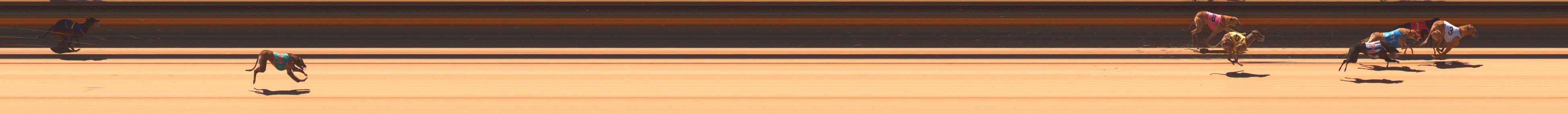 Photo finish for Ballarat Race 4