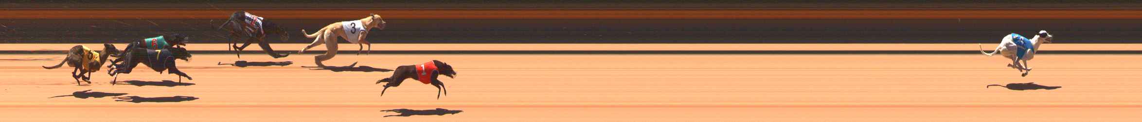 Photo finish for Ballarat Race 5