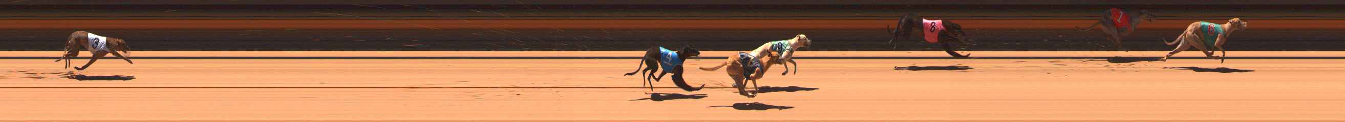 Photo finish for Ballarat Race 6