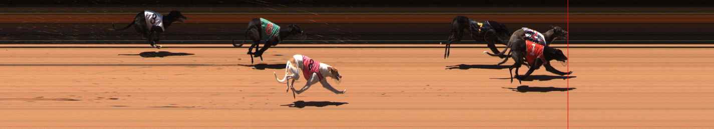 Photo finish for Ballarat Race 7