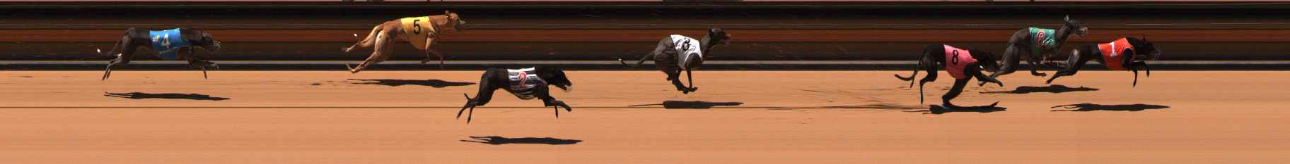 Photo finish for Ballarat Race 8