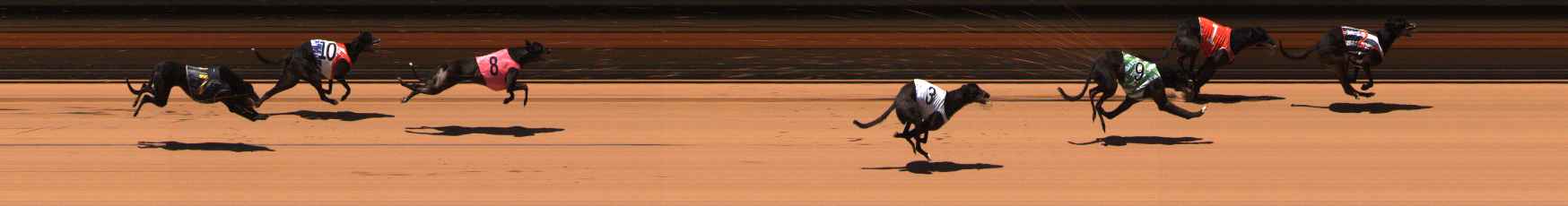 Photo finish for Ballarat Race 9