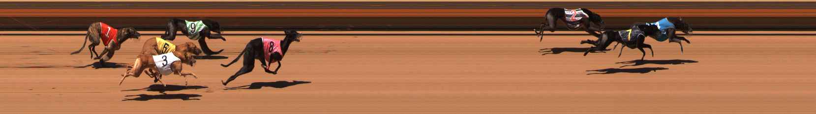 Photo finish for Ballarat Race 11