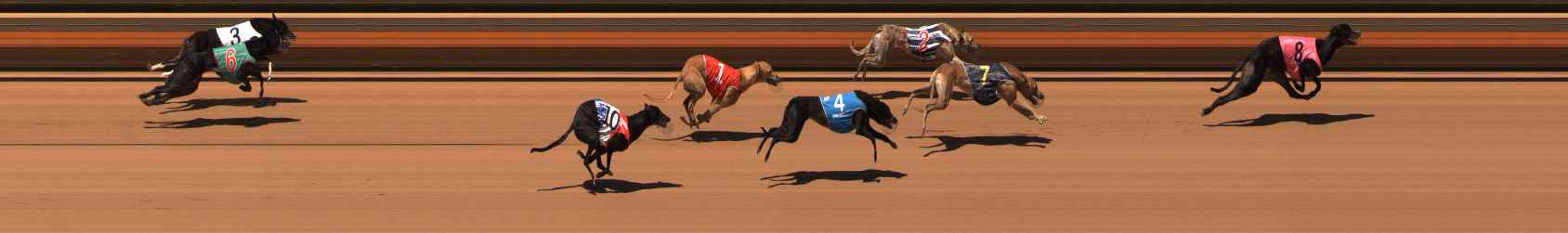 Photo finish for Ballarat Race 12