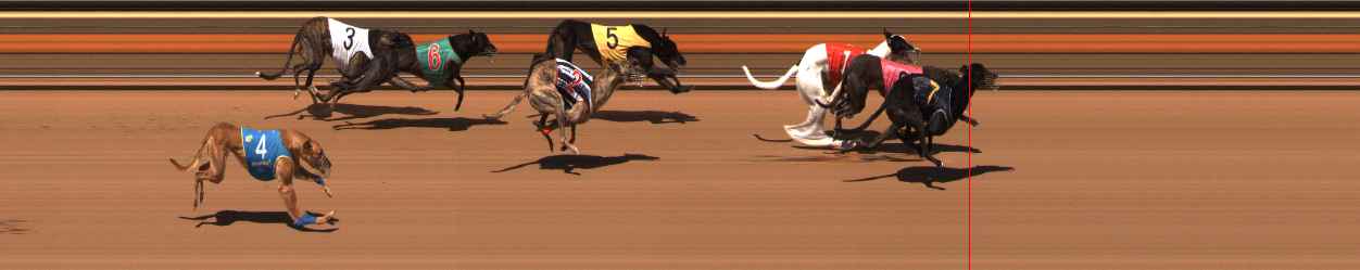 Photo finish for Ballarat Race 13