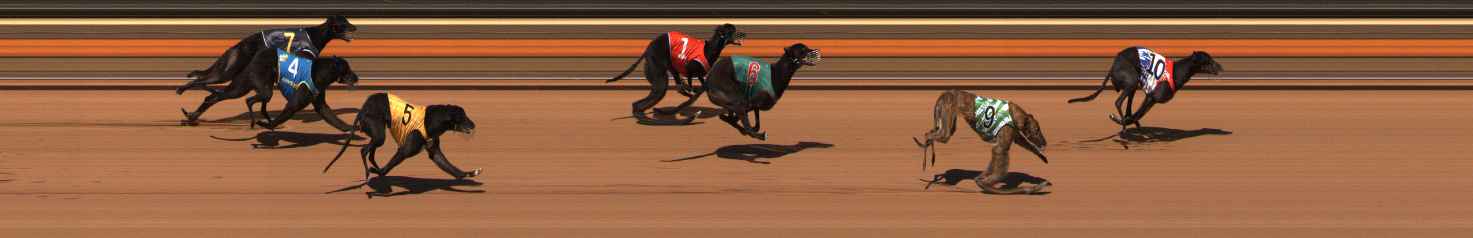 Photo finish for Ballarat Race 14