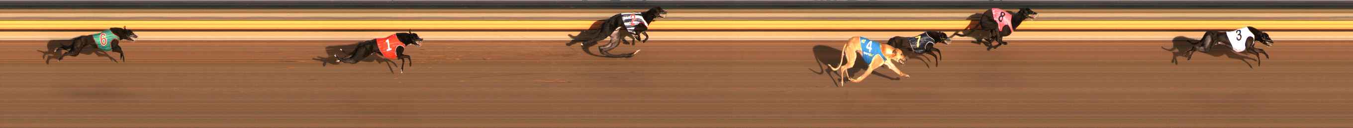 Photo finish for Ballarat Race 2