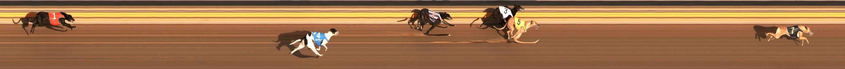 Photo finish for Ballarat Race 3