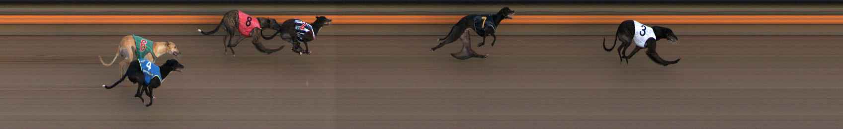 Photo finish for Ballarat Race 6